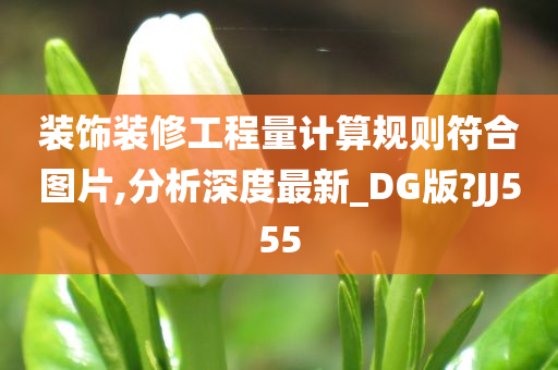 装饰装修工程量计算规则符合图片,分析深度最新_DG版?JJ555