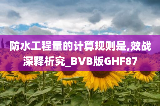 防水工程量的计算规则是,效战深释析究_BVB版GHF87