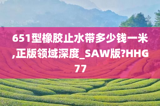 651型橡胶止水带多少钱一米,正版领域深度_SAW版?HHG77