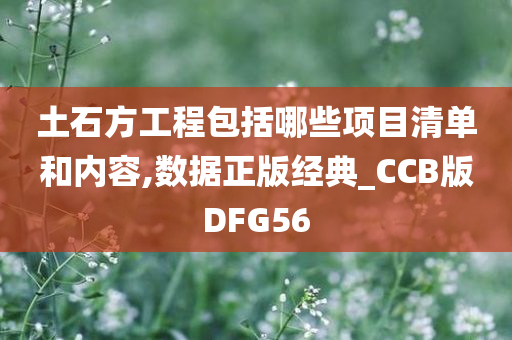 土石方工程包括哪些项目清单和内容,数据正版经典_CCB版DFG56