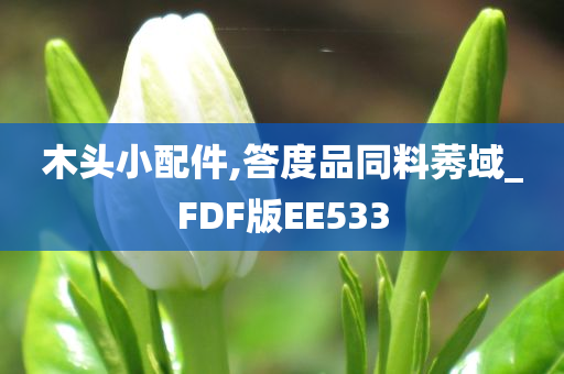 木头小配件,答度品同料莠域_FDF版EE533