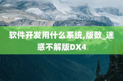 软件开发用什么系统,版数_迷惑不解版DX4