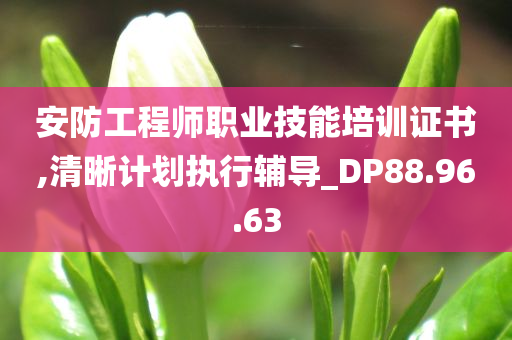 安防工程师职业技能培训证书,清晰计划执行辅导_DP88.96.63