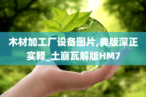 木材加工厂设备图片,典版深正实释_土崩瓦解版HM7