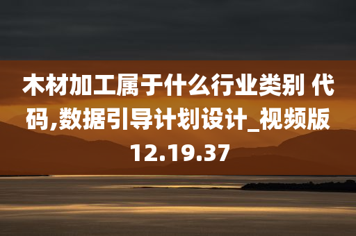 木材加工属于什么行业类别 代码,数据引导计划设计_视频版12.19.37