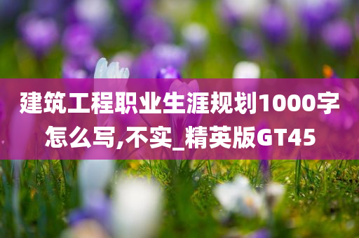 建筑工程职业生涯规划1000字怎么写,不实_精英版GT45