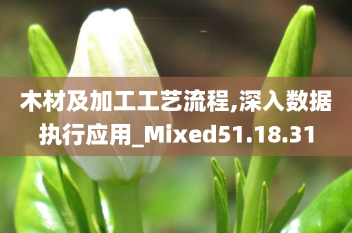 木材及加工工艺流程,深入数据执行应用_Mixed51.18.31