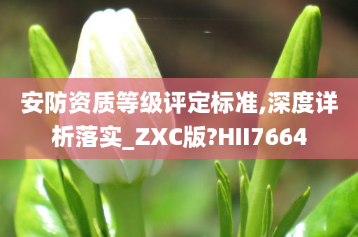 安防资质等级评定标准,深度详析落实_ZXC版?HII7664