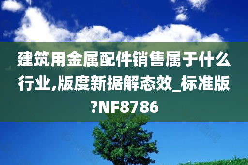 建筑用金属配件销售属于什么行业,版度新据解态效_标准版?NF8786