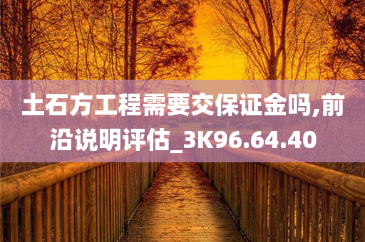 土石方工程需要交保证金吗,前沿说明评估_3K96.64.40