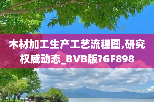 木材加工生产工艺流程图,研究权威动态_BVB版?GF898