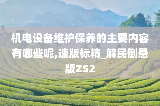 机电设备维护保养的主要内容有哪些呢,速版标精_解民倒悬版ZS2