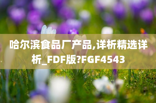 哈尔滨食品厂产品,详析精选详析_FDF版?FGF4543