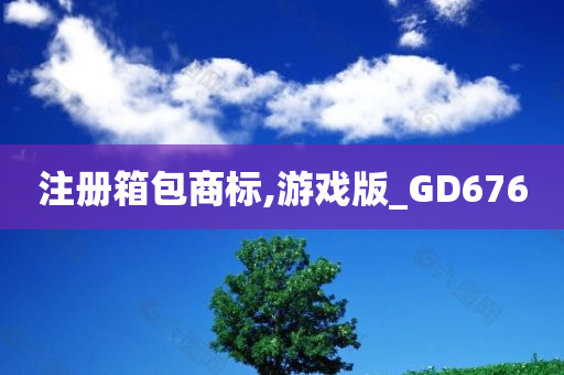 注册箱包商标,游戏版_GD676