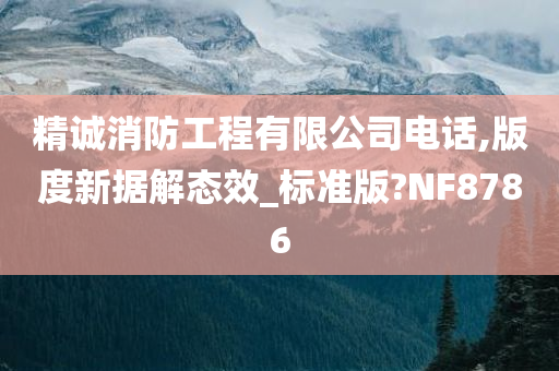 精诚消防工程有限公司电话,版度新据解态效_标准版?NF8786