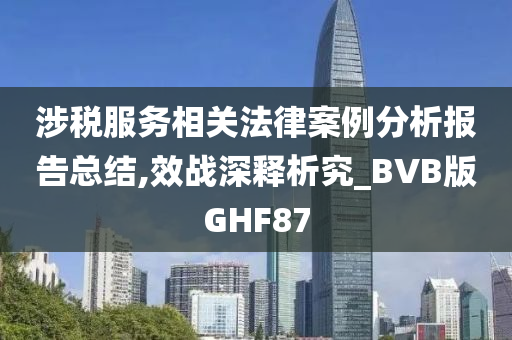 涉税服务相关法律案例分析报告总结,效战深释析究_BVB版GHF87