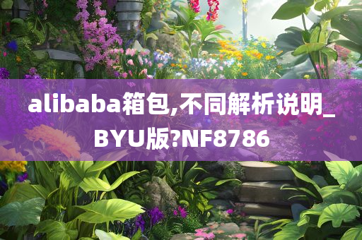 alibaba箱包,不同解析说明_BYU版?NF8786