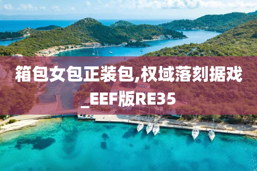 箱包女包正装包,权域落刻据戏_EEF版RE35