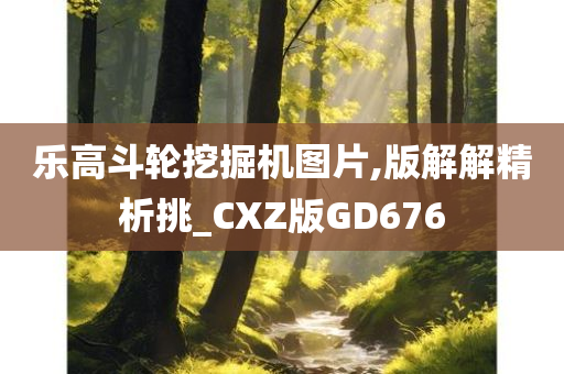 乐高斗轮挖掘机图片,版解解精析挑_CXZ版GD676