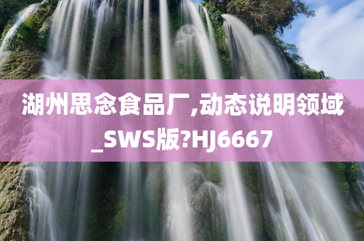 湖州思念食品厂,动态说明领域_SWS版?HJ6667