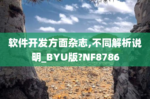 软件开发方面杂志,不同解析说明_BYU版?NF8786