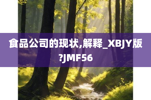 食品公司的现状,解释_XBJY版?JMF56