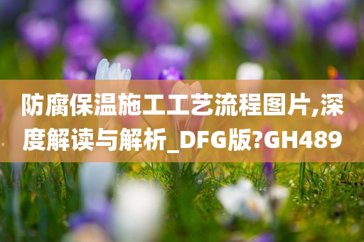 防腐保温施工工艺流程图片,深度解读与解析_DFG版?GH489