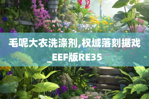 毛呢大衣洗涤剂,权域落刻据戏_EEF版RE35