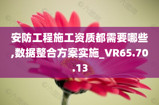 安防工程施工资质都需要哪些,数据整合方案实施_VR65.70.13