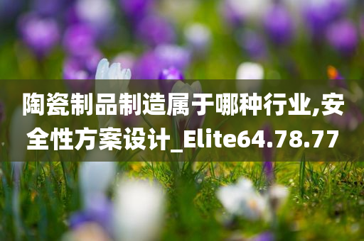 陶瓷制品制造属于哪种行业,安全性方案设计_Elite64.78.77