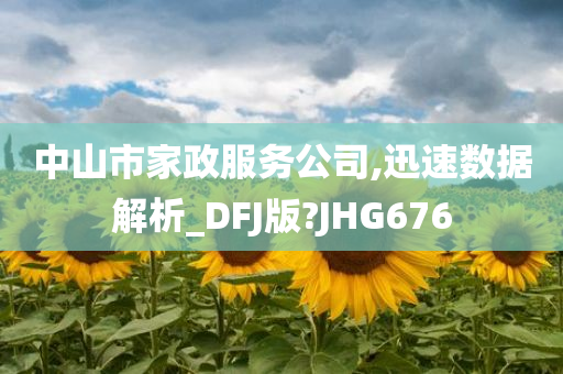 中山市家政服务公司,迅速数据解析_DFJ版?JHG676