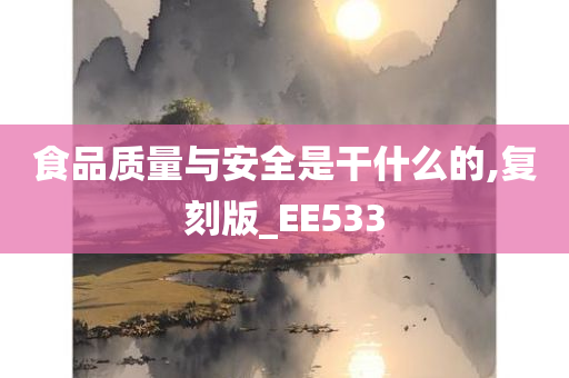 食品质量与安全是干什么的,复刻版_EE533