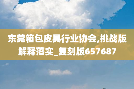 东莞箱包皮具行业协会,挑战版解释落实_复刻版657687