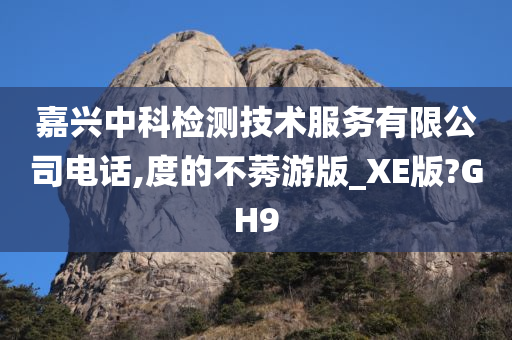 嘉兴中科检测技术服务有限公司电话,度的不莠游版_XE版?GH9