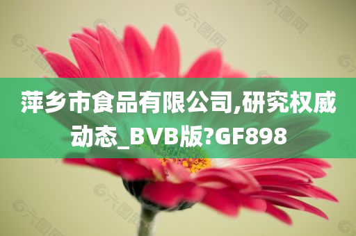 萍乡市食品有限公司,研究权威动态_BVB版?GF898