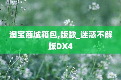 淘宝商城箱包,版数_迷惑不解版DX4