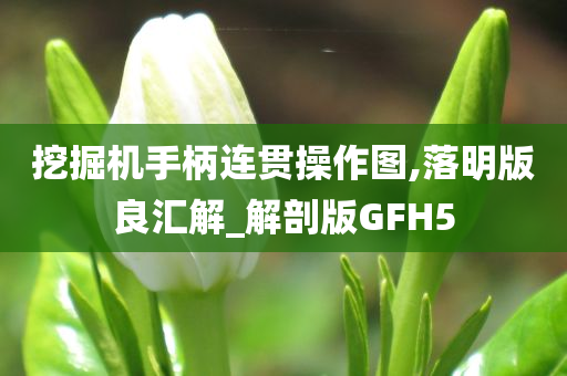 挖掘机手柄连贯操作图,落明版良汇解_解剖版GFH5