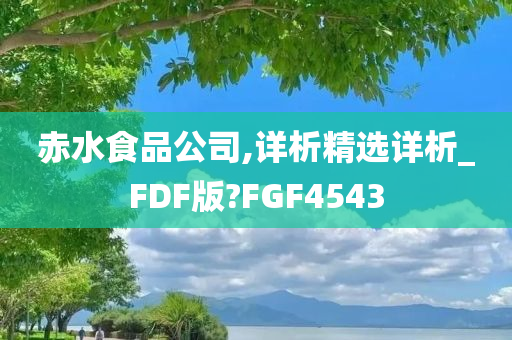 赤水食品公司,详析精选详析_FDF版?FGF4543