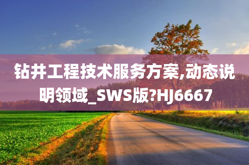 钻井工程技术服务方案,动态说明领域_SWS版?HJ6667