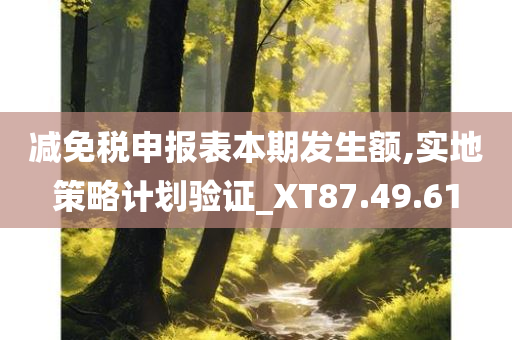 减免税申报表本期发生额,实地策略计划验证_XT87.49.61