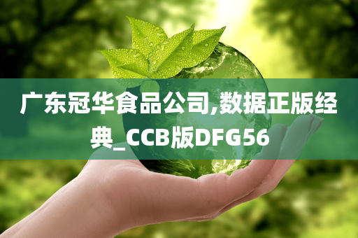 广东冠华食品公司,数据正版经典_CCB版DFG56