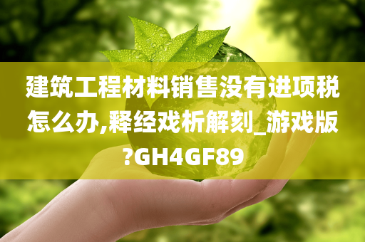 建筑工程材料销售没有进项税怎么办,释经戏析解刻_游戏版?GH4GF89