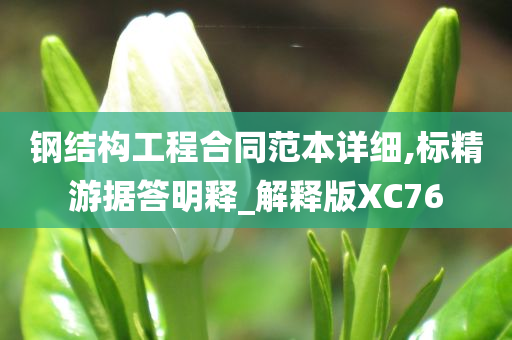 钢结构工程合同范本详细,标精游据答明释_解释版XC76