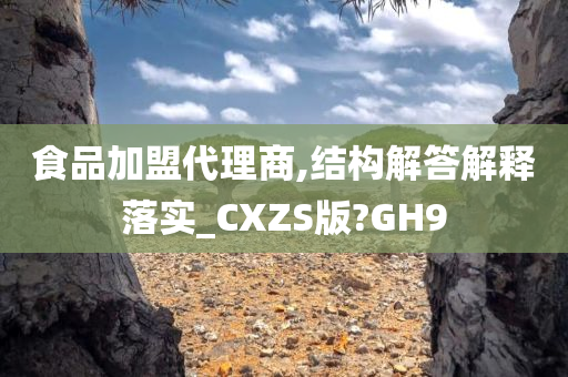 食品加盟代理商,结构解答解释落实_CXZS版?GH9