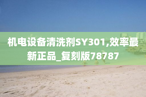 机电设备清洗剂SY301,效率最新正品_复刻版78787