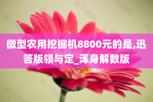 微型农用挖掘机8800元的是,迅答版领与定_浑身解数版