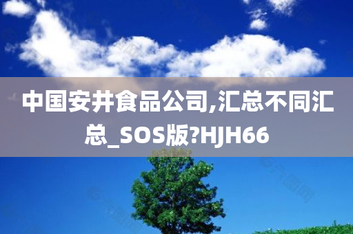 中国安井食品公司,汇总不同汇总_SOS版?HJH66