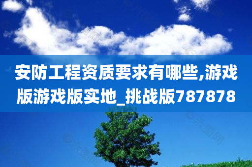 安防工程资质要求有哪些,游戏版游戏版实地_挑战版787878