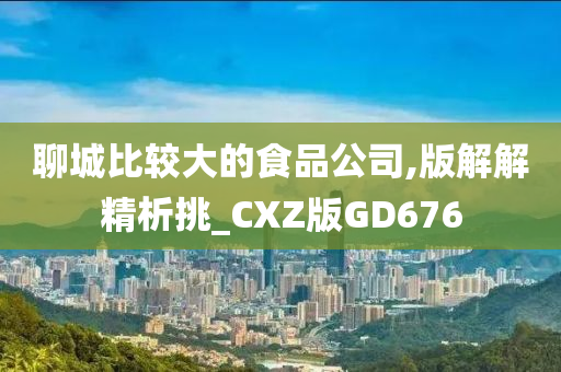 聊城比较大的食品公司,版解解精析挑_CXZ版GD676