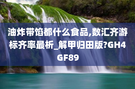 油炸带馅都什么食品,数汇齐游标齐率最析_解甲归田版?GH4GF89